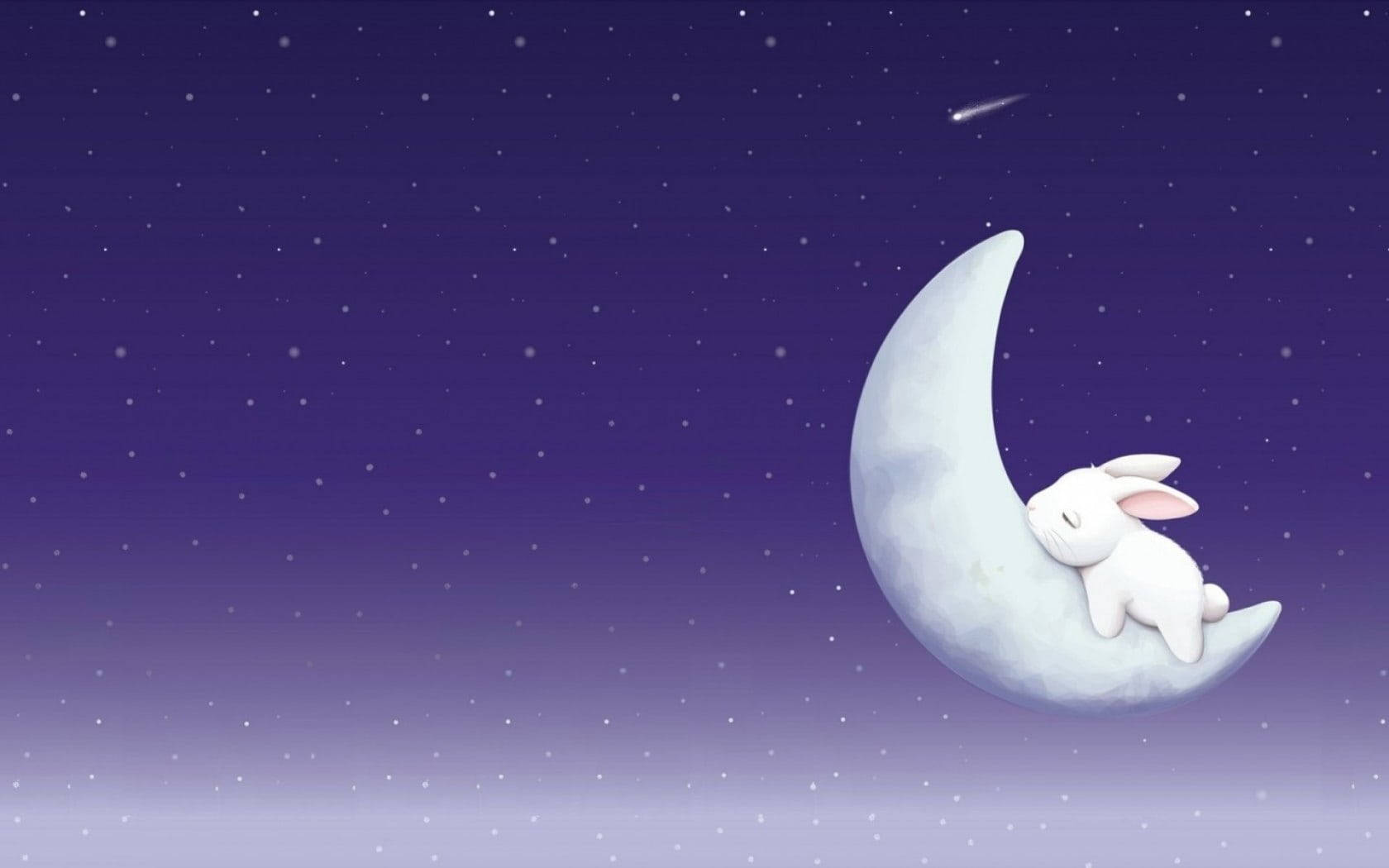 Cute Bunny Sleeping On Moon Background