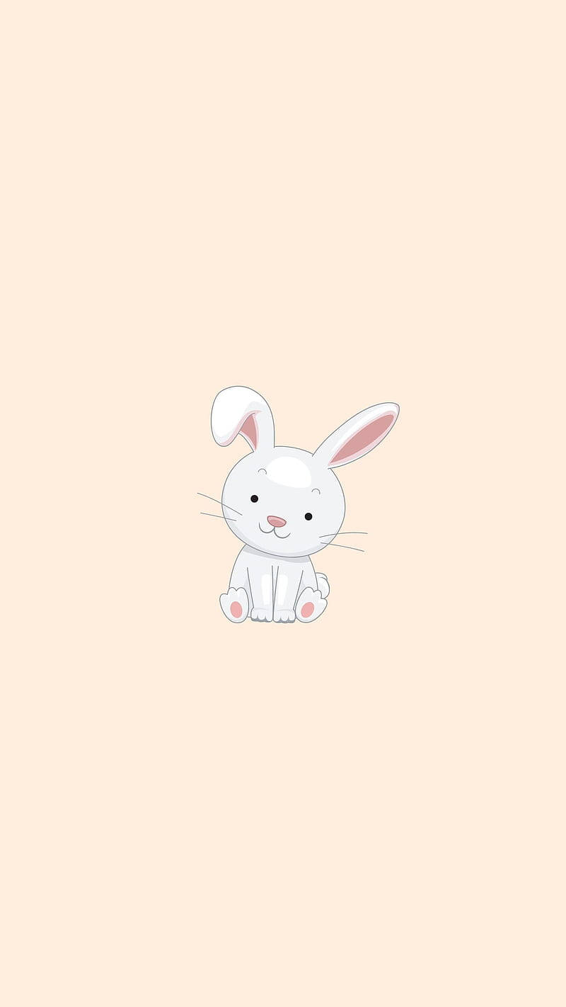 Cute Cartoon Bunny Animal Background