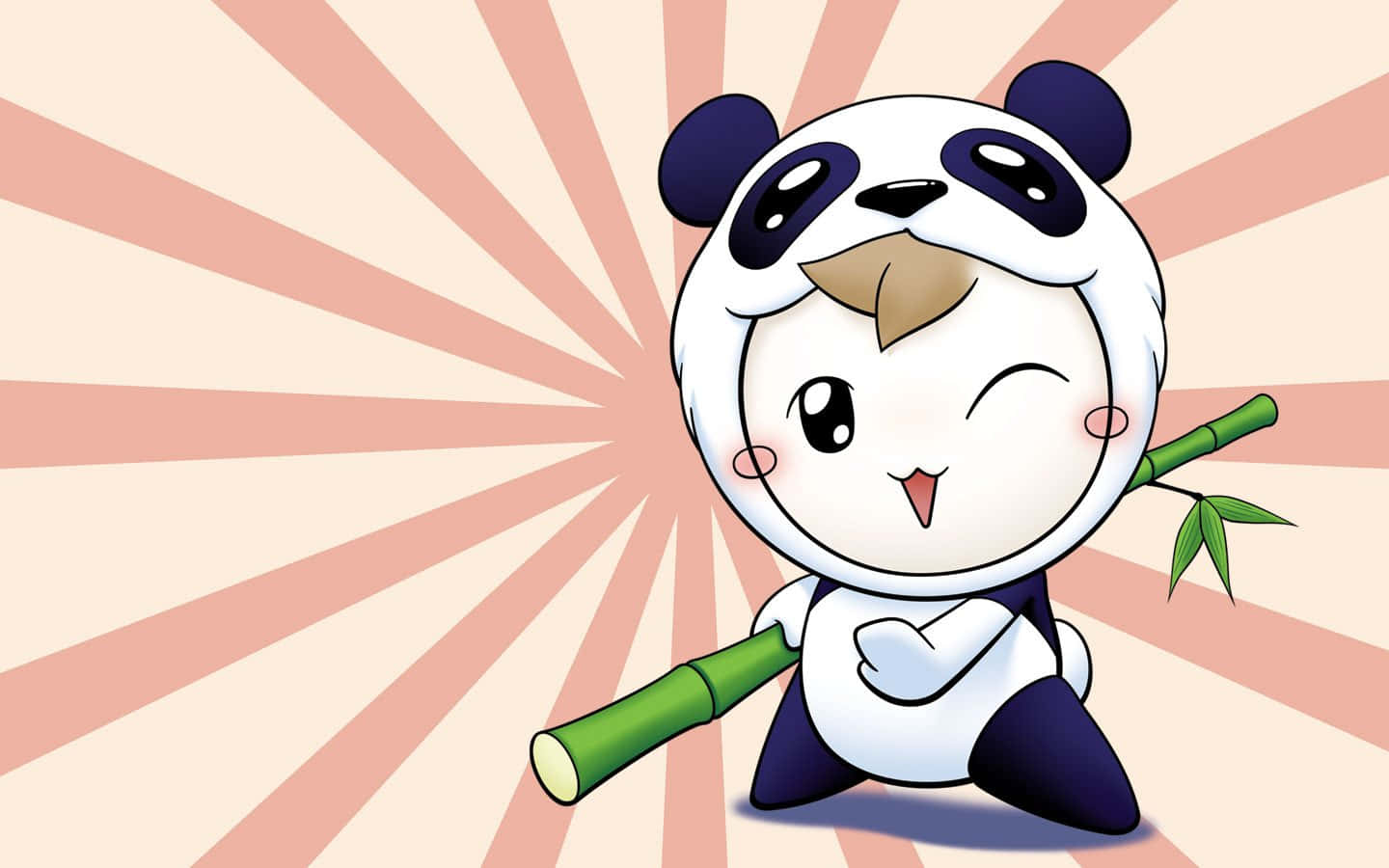 Cute Cartoon Panda Boy