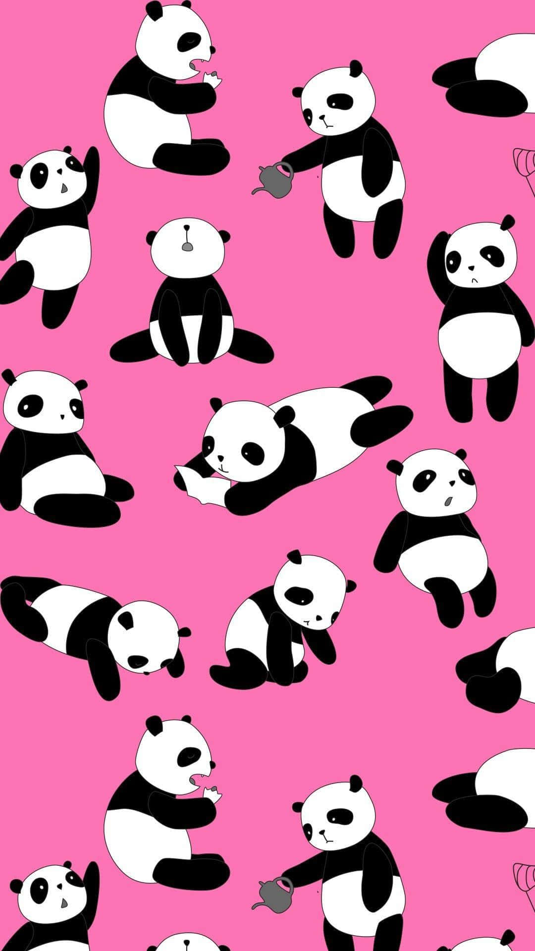 Cute Cartoon Panda Pink Background Background