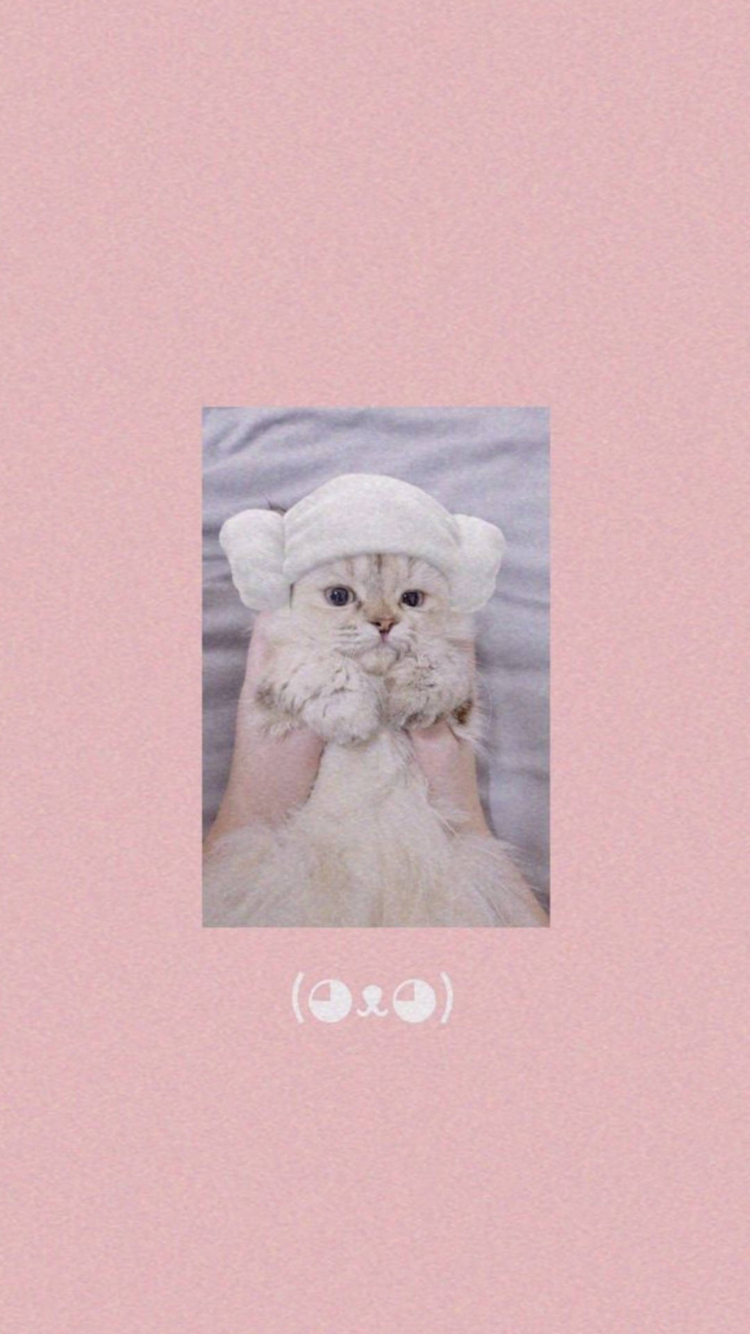 Cute Cat Aesthetic Lamb Head Towel Background