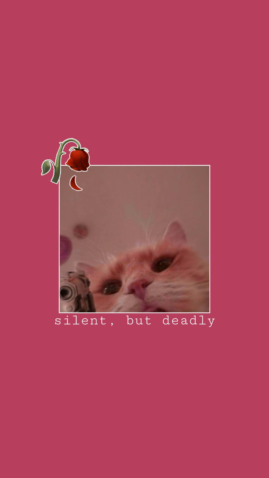 Cute Cat Aesthetic Silent But Lethal Background