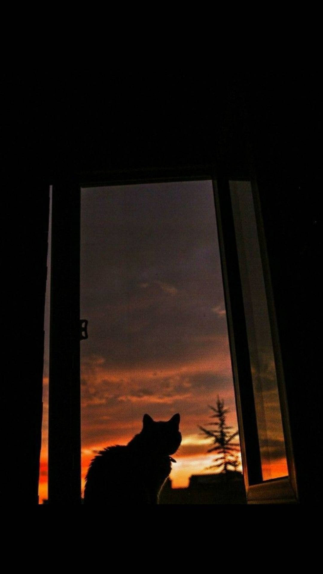 Cute Cat Aesthetic Twilight Background