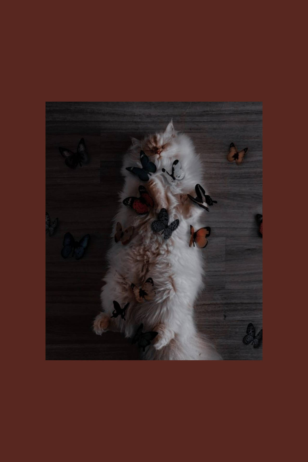 Cute Cat Aesthetic With Butterflies Background