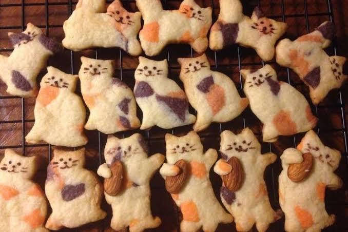 Cute Cat Cookies Background
