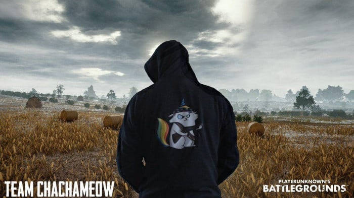 Cute Cat Hoodie Pubg Banner Background