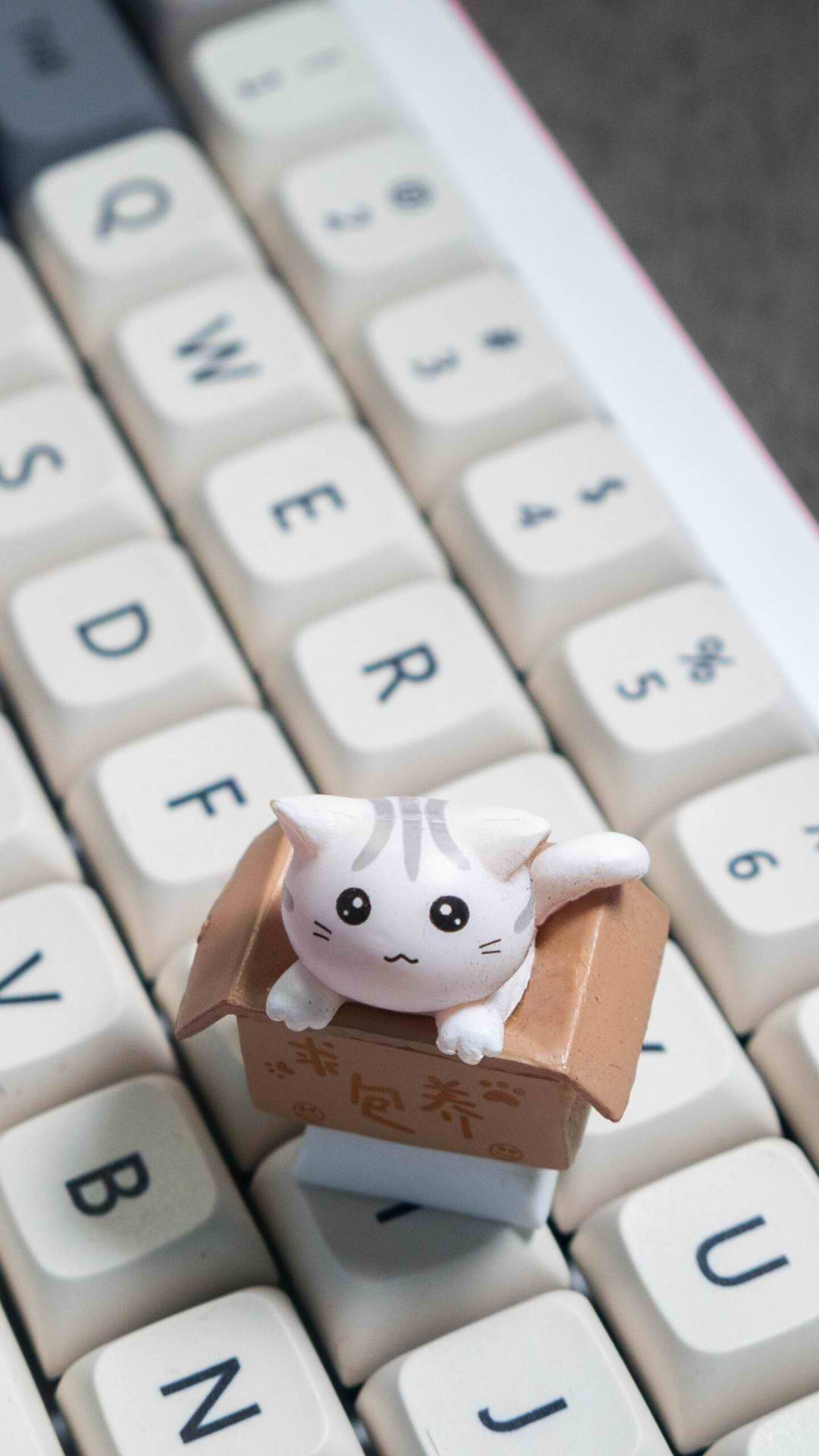 Cute Cat Key Cap Aesthetic Phone Background