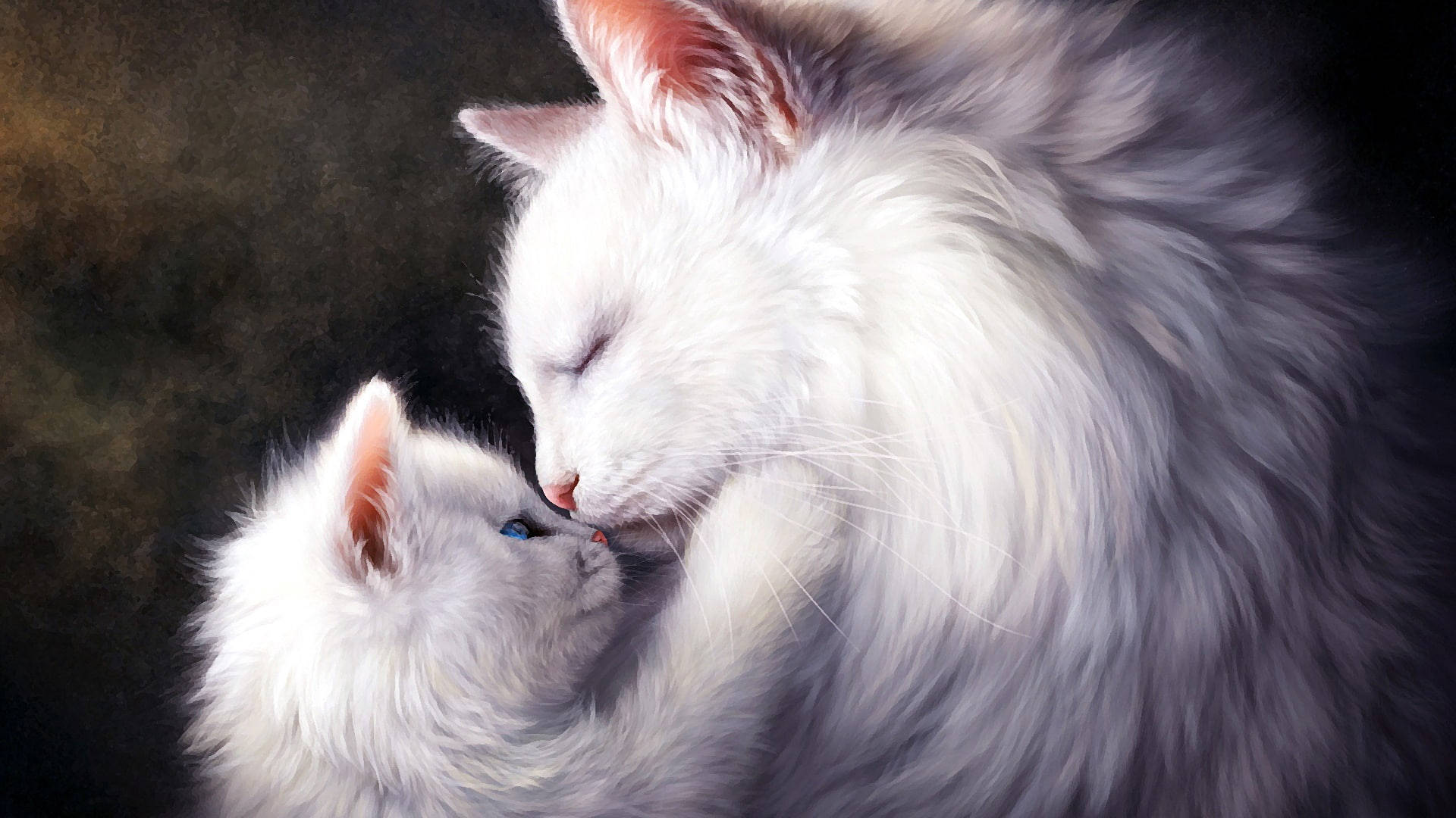 Cute Cat Love Kiss Background