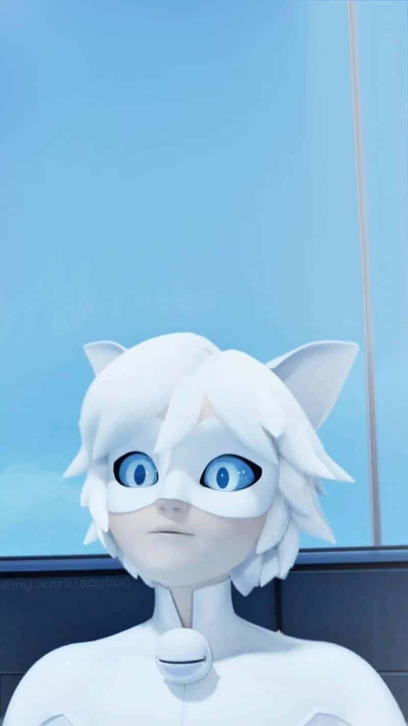 Cute Cat Noir And Blanc