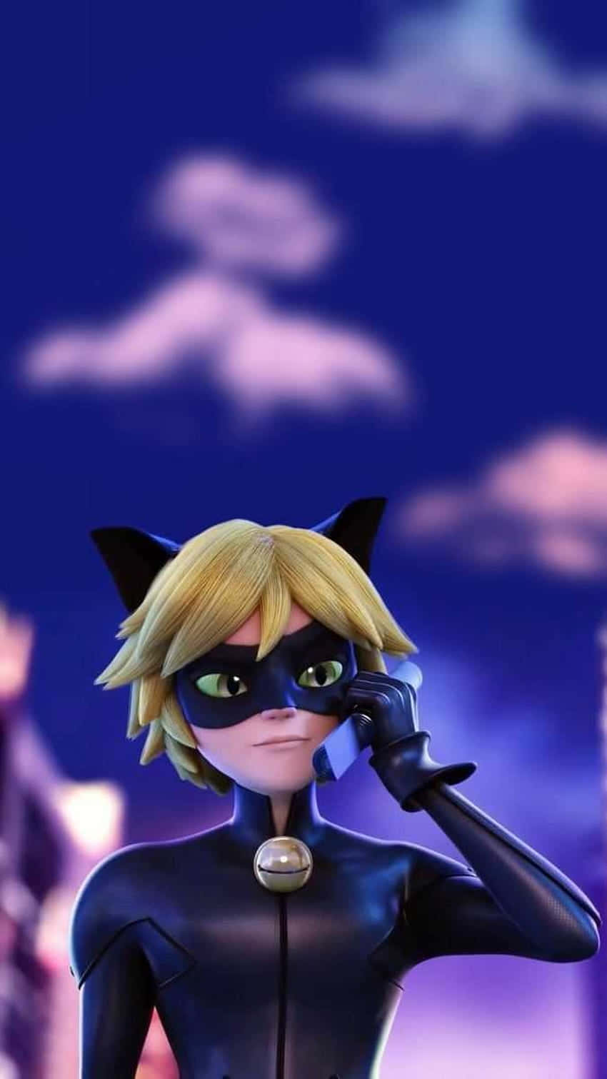 Cute Cat Noir Glaring Enthrallingly At Phone