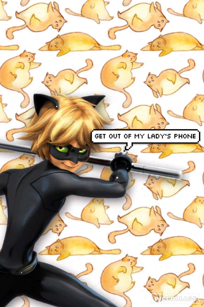 Cute Cat Noir My Lady's Phone Background