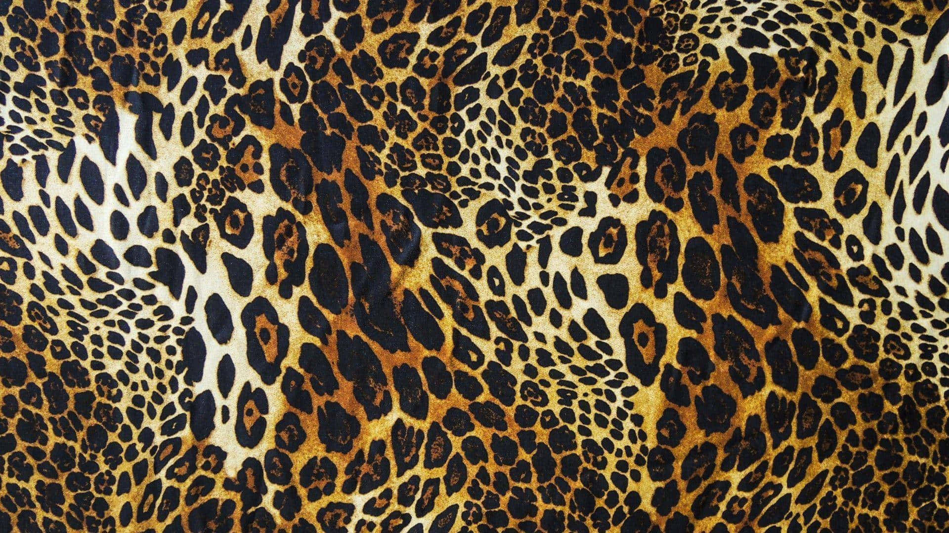 Cute Cheetah Print Black And Gold Pattern Background