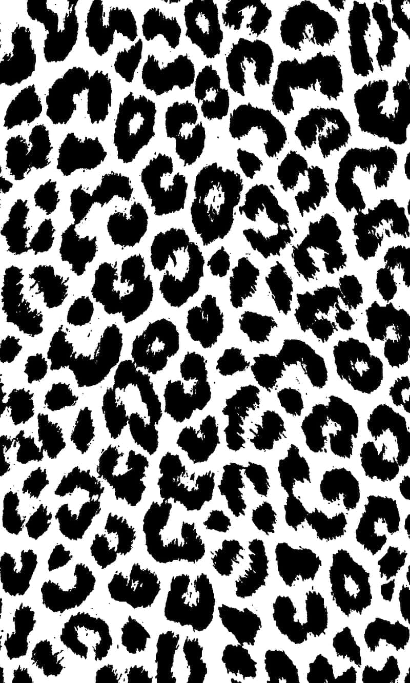 Cute Cheetah Print Black And White Background