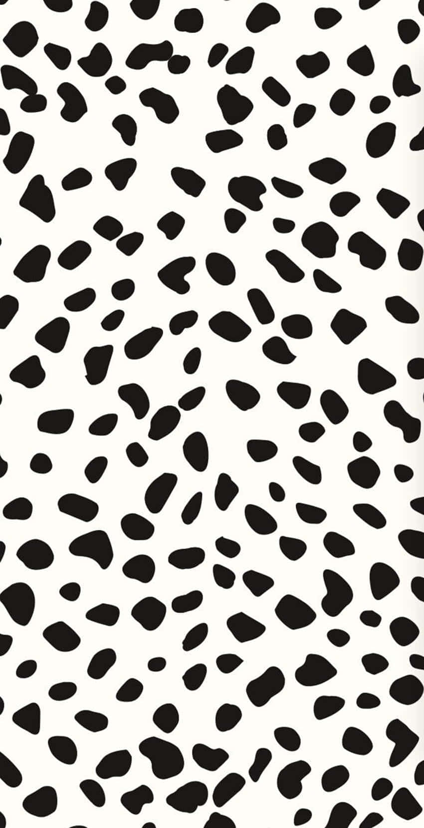 Cute Cheetah Print Black White Background