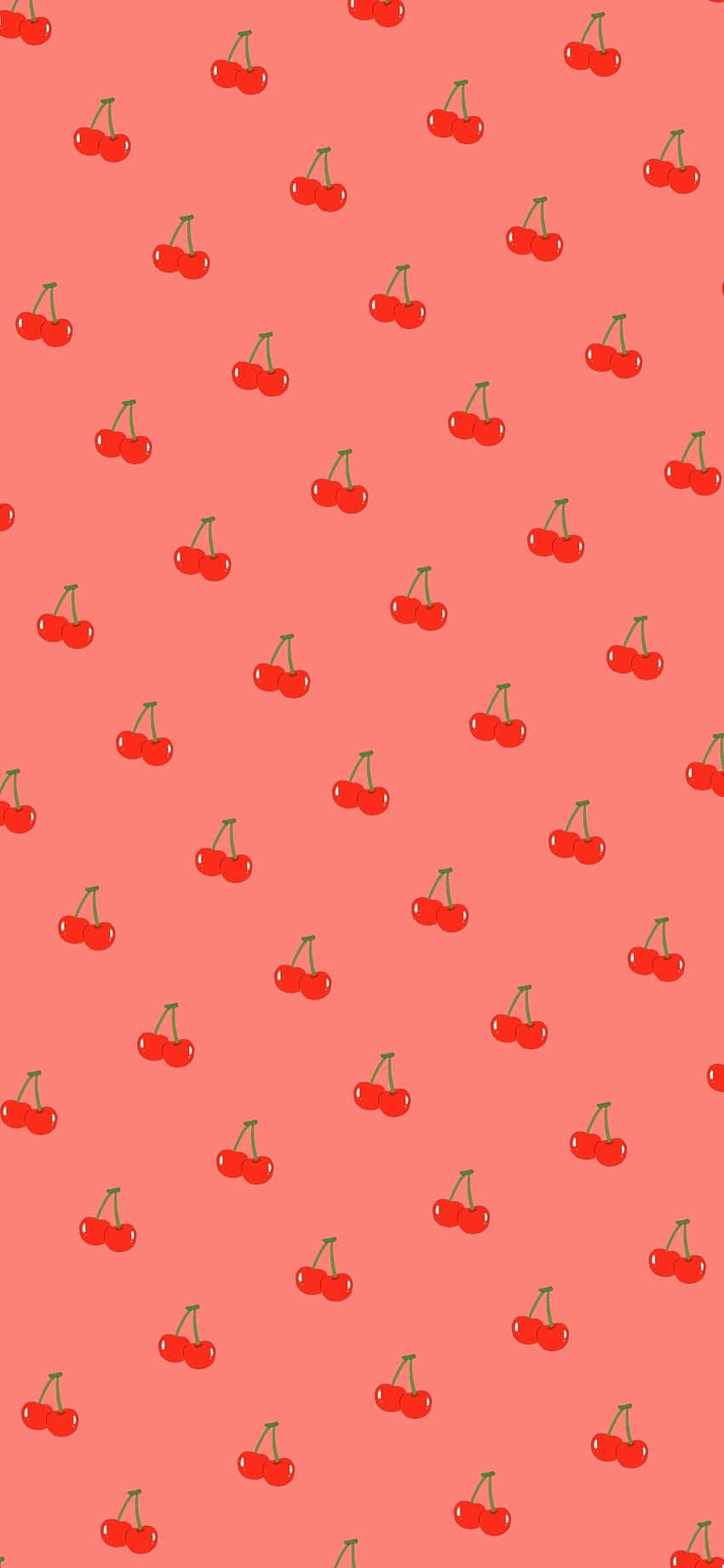 Cute Cherries With Shiny Red Surface