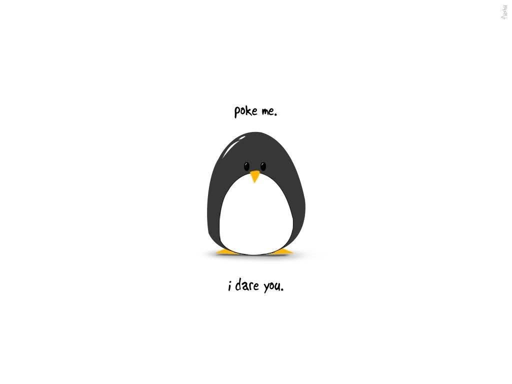 Cute Chubby Penguin Art