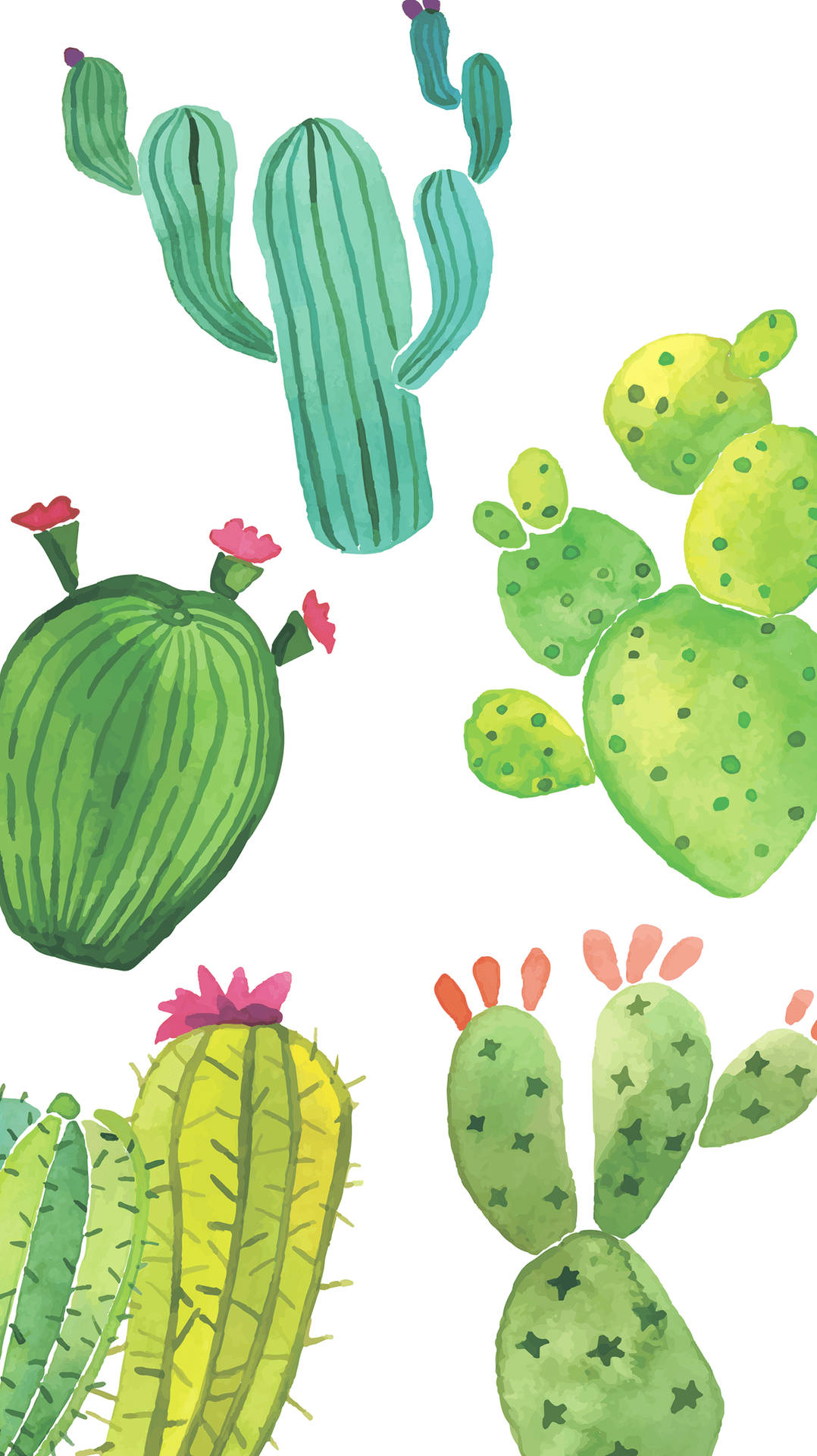 Cute Colorful Cactus Background