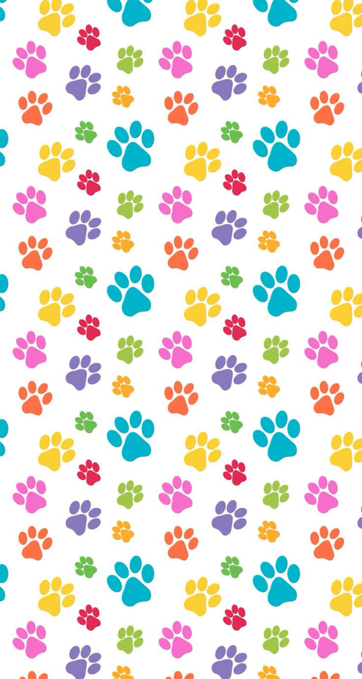 Cute Colorful Paw Prints Pattern Background