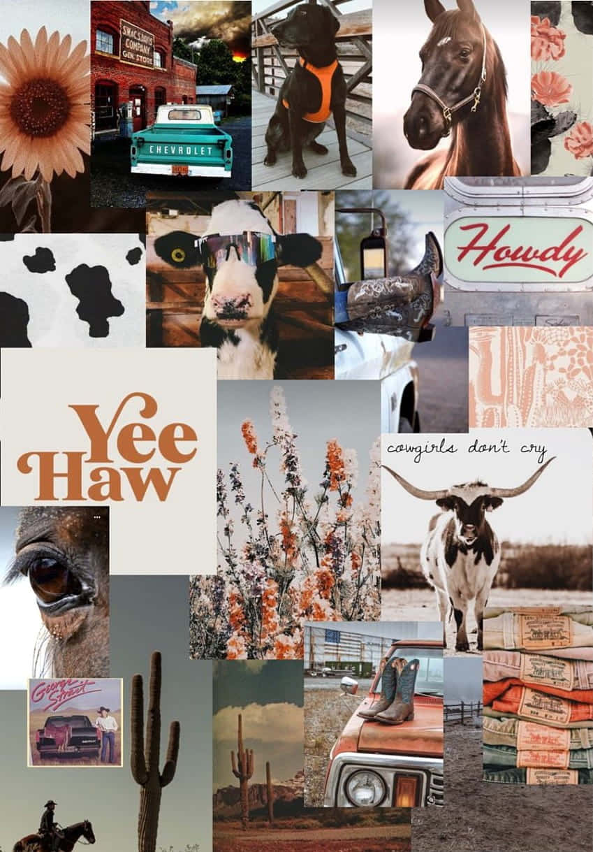 Cute Country Aesthetic Images Collage