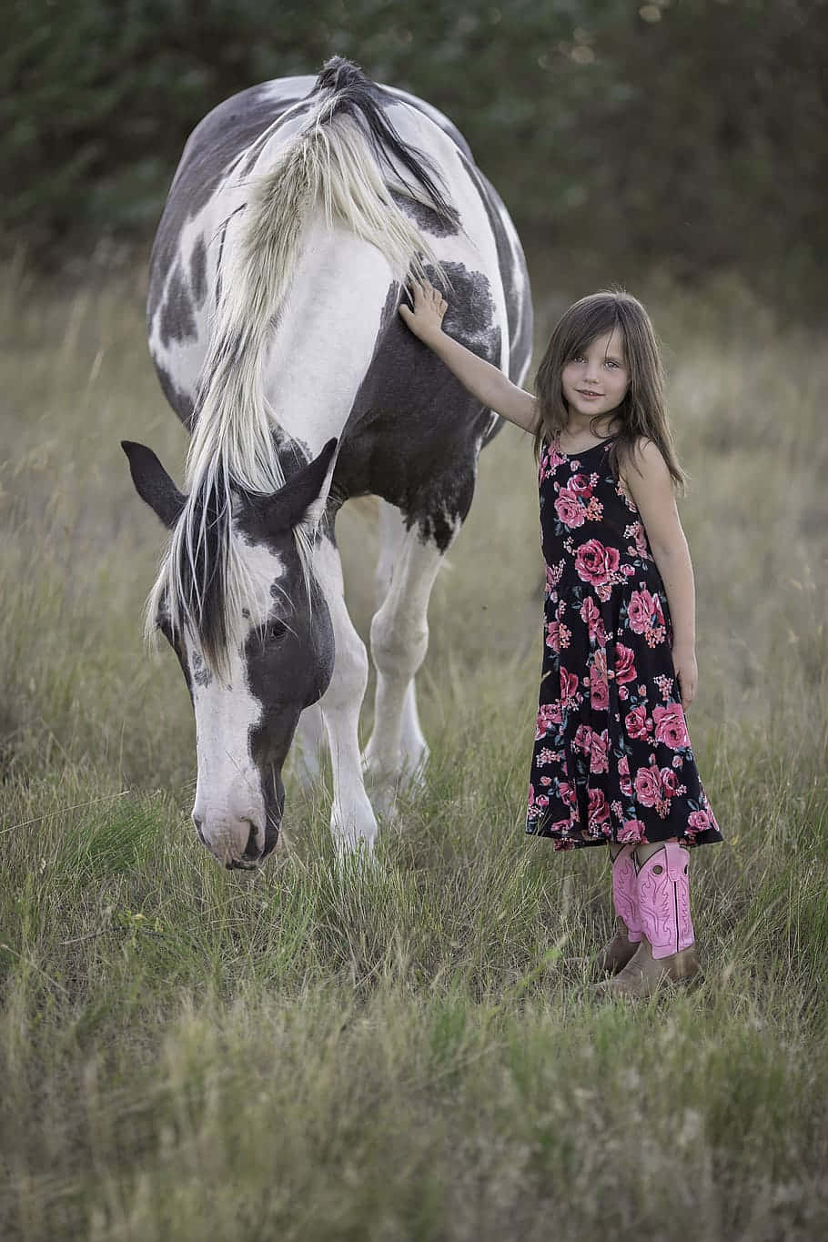 Cute Country Girl Pets Horse Background