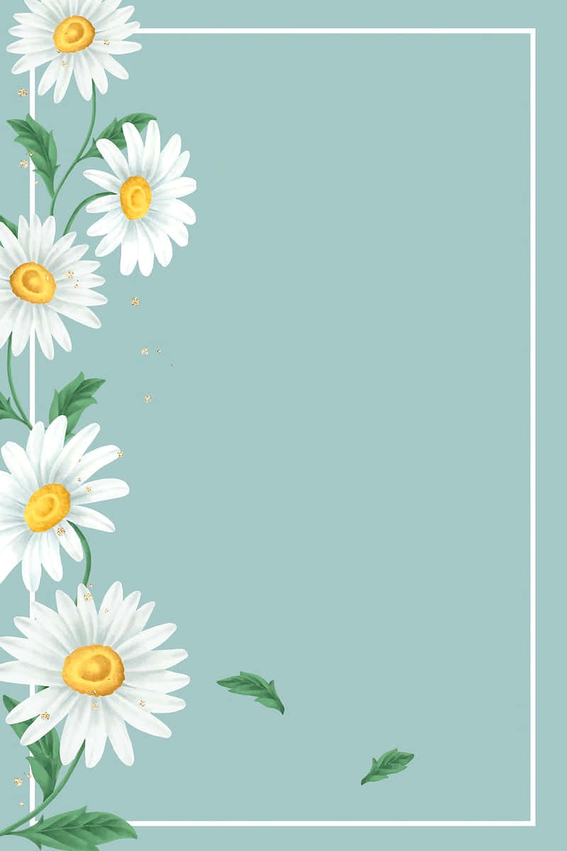 Cute Daisy Flower Frame Border Background