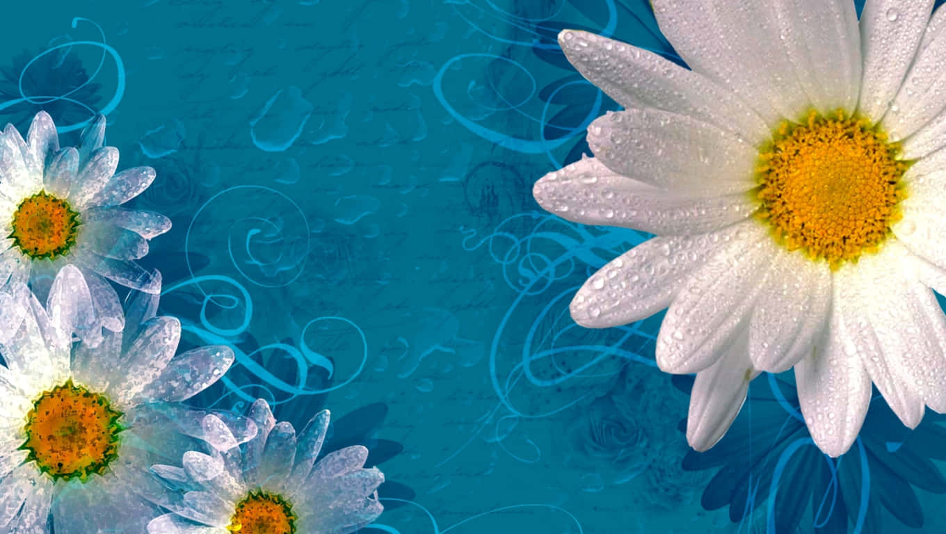 Cute Daisy Flowers Abstract Blue Background Background