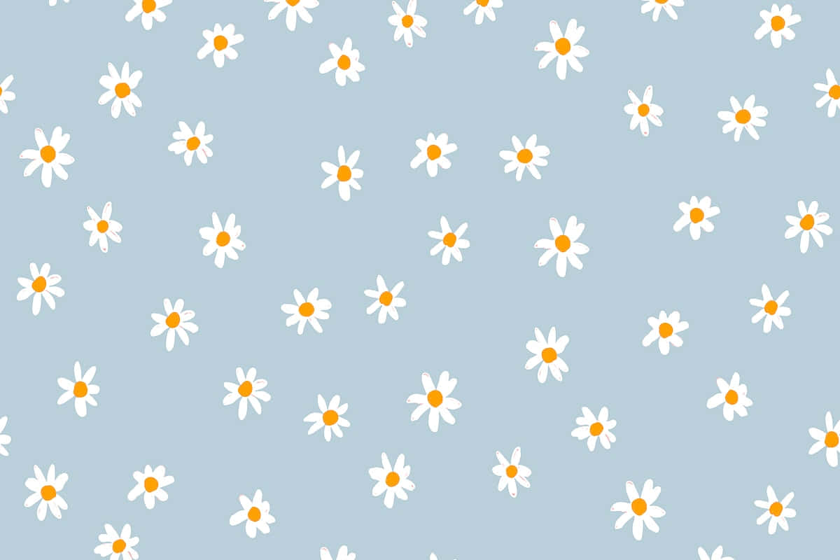 Cute Daisy Flowers Aesthetic Background Pattern Background