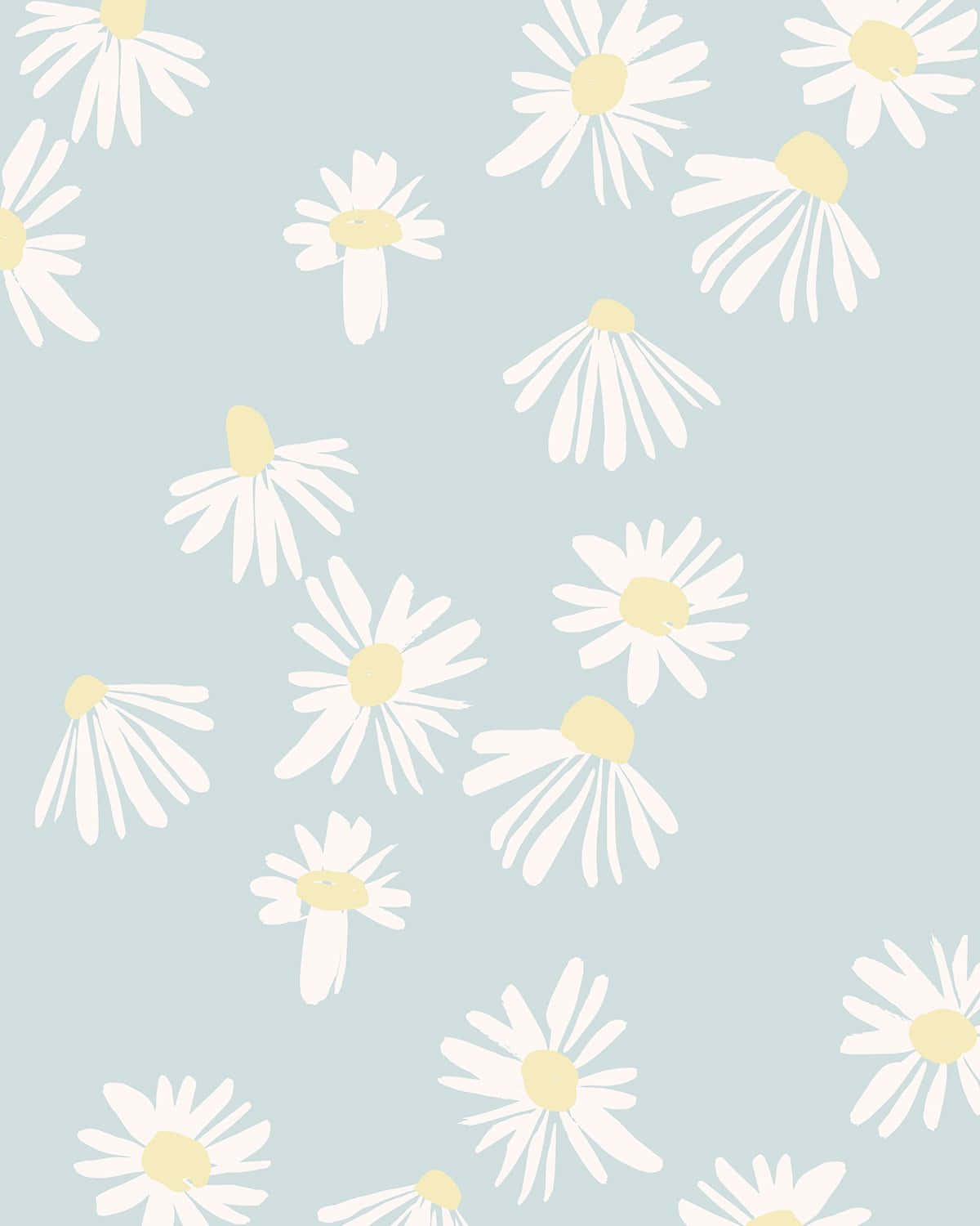 Cute Daisy Flowers Pastel Blue Background