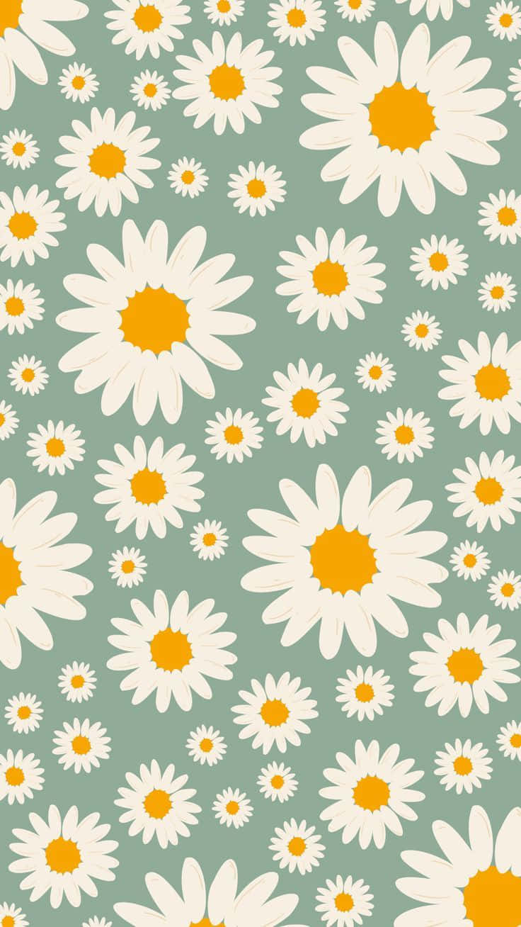 Cute Daisy Flowers Sage Green Art Background