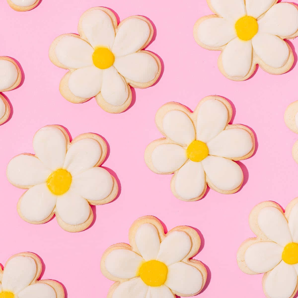 Cute Daisy Sweet Sugar Cookies Background