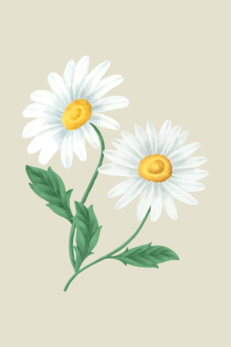 Cute Daisy Vintage Watercolor Art Background