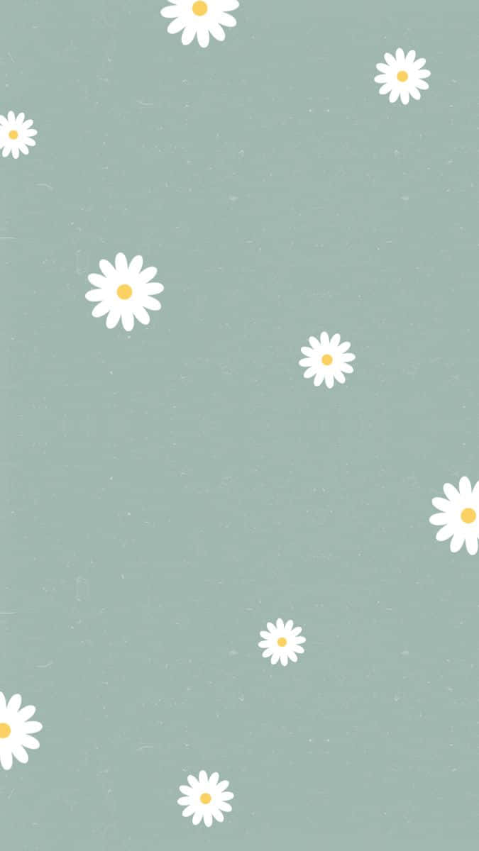 Cute Daisy White Flowers Pattern Background