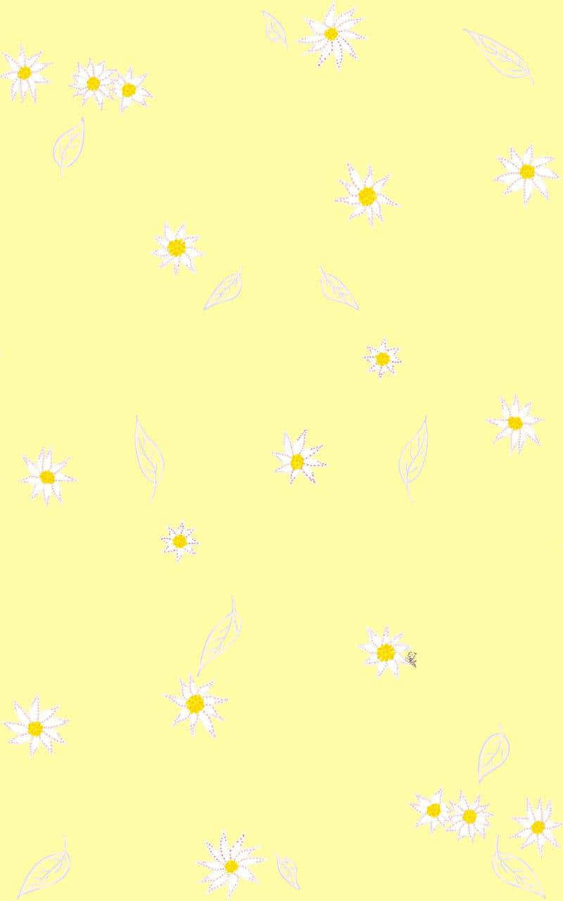 Cute Daisy Yellow Floral Print Background
