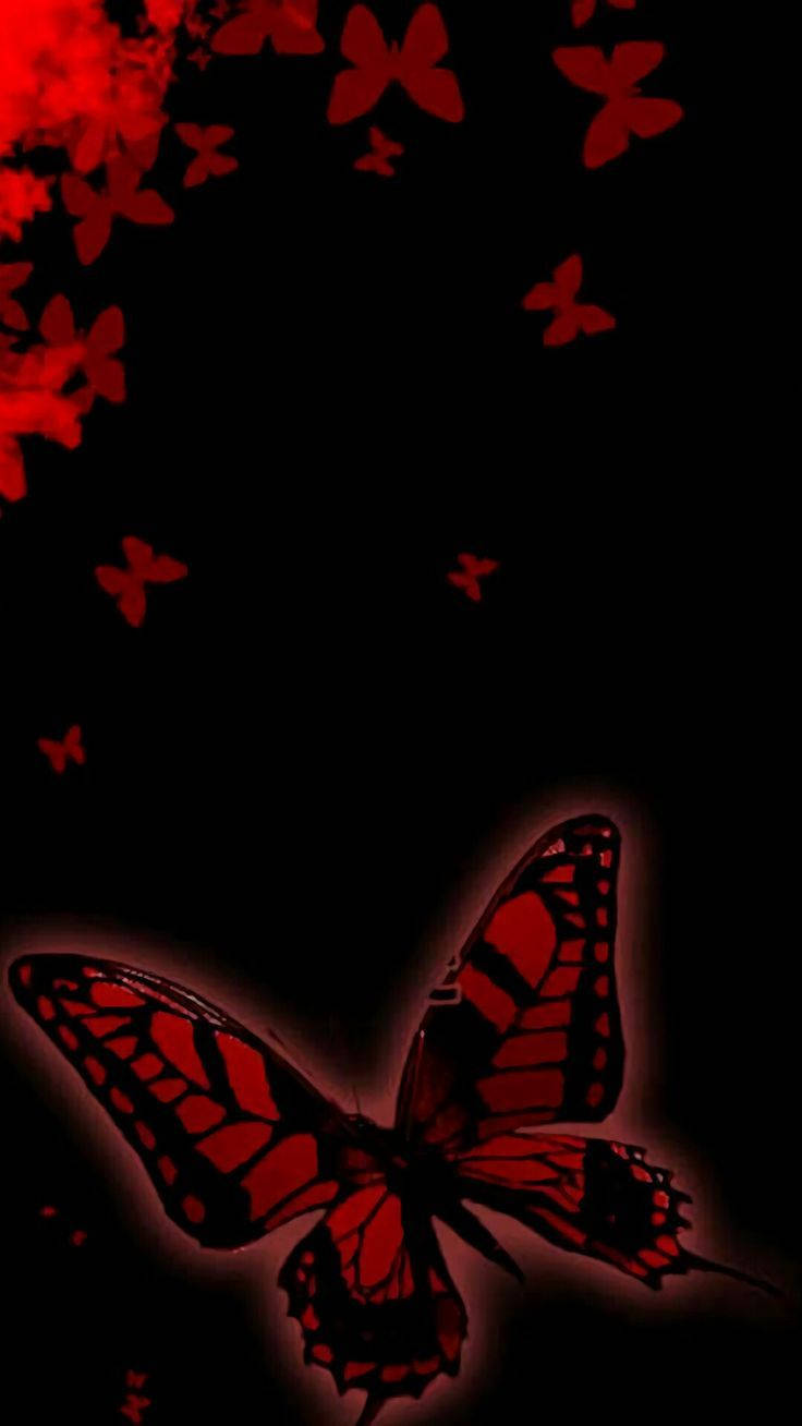 Cute Dark Red Butterfly And Flowers Background