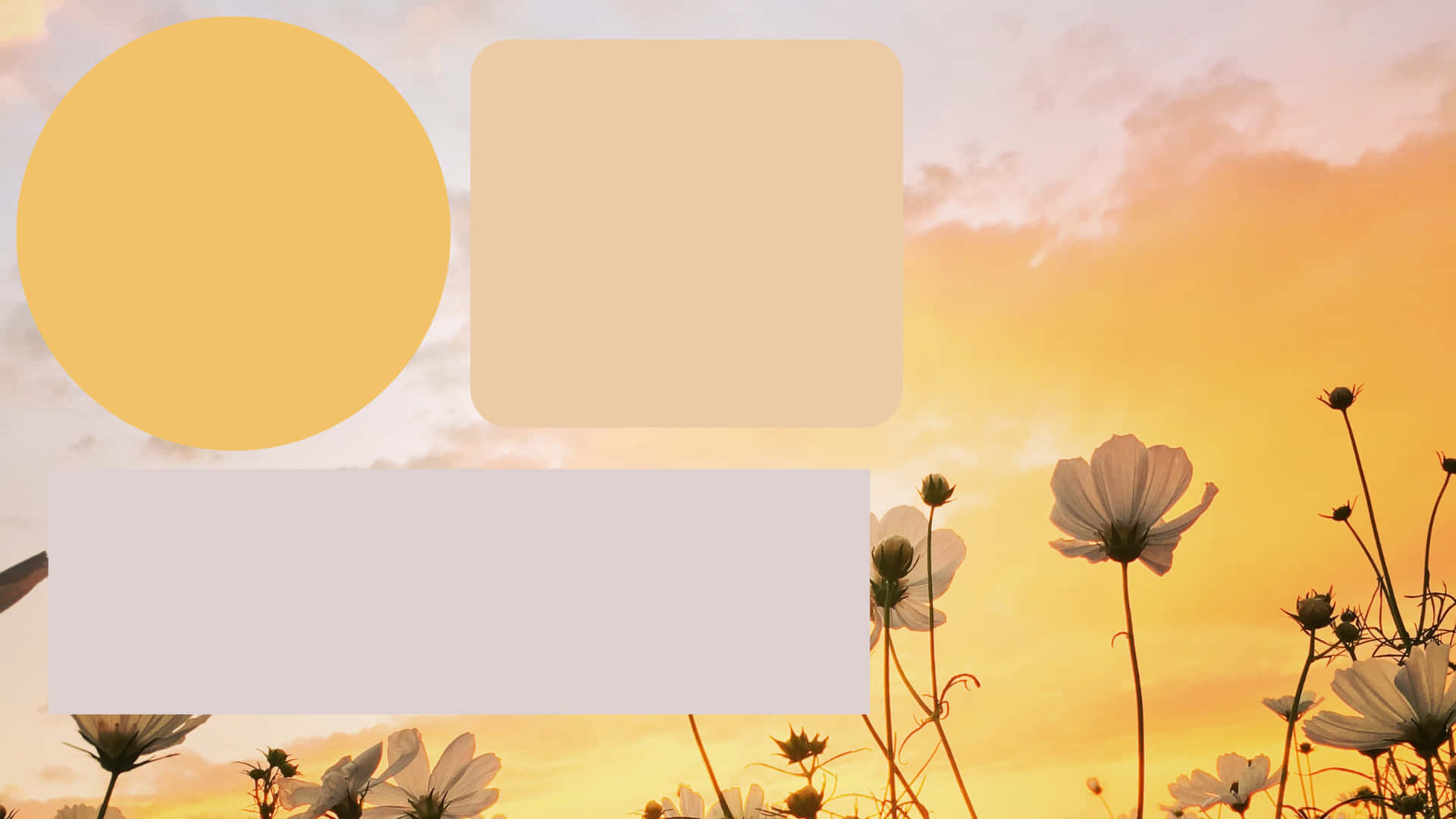 Cute Desktop Organizer Yellow Aesthetic Background Background