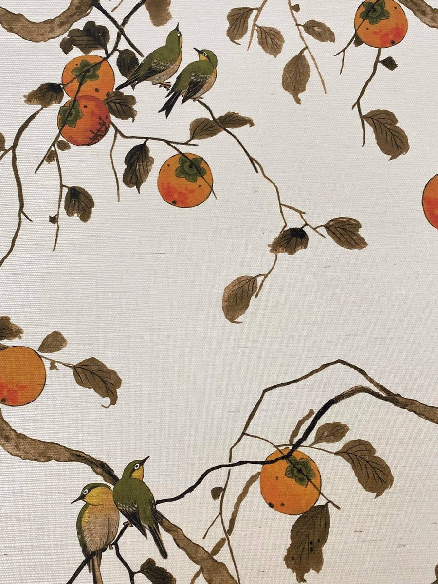 Cute Digital Drawing Of Persimmon Tree Background