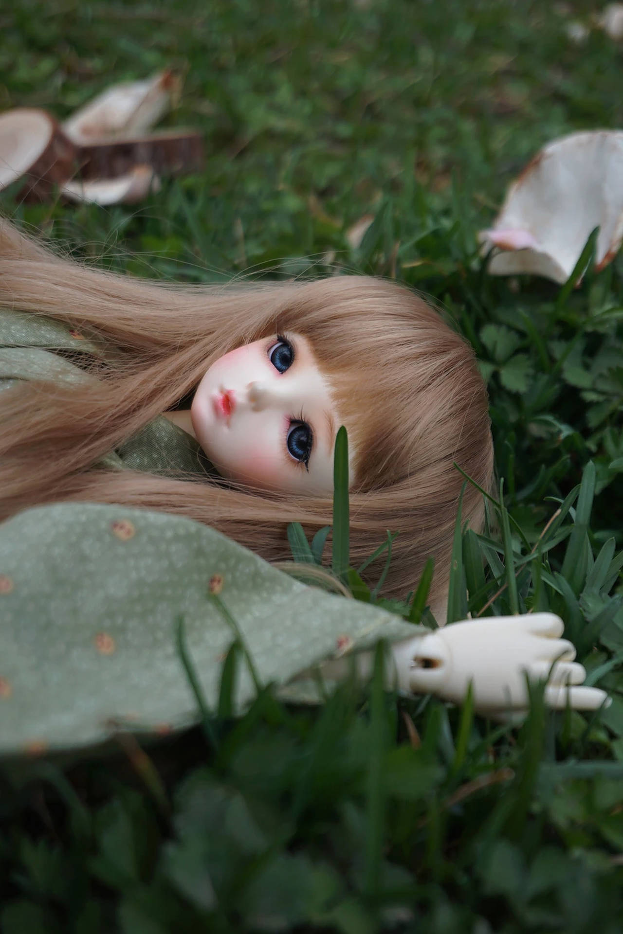 Cute Doll On Grass Background