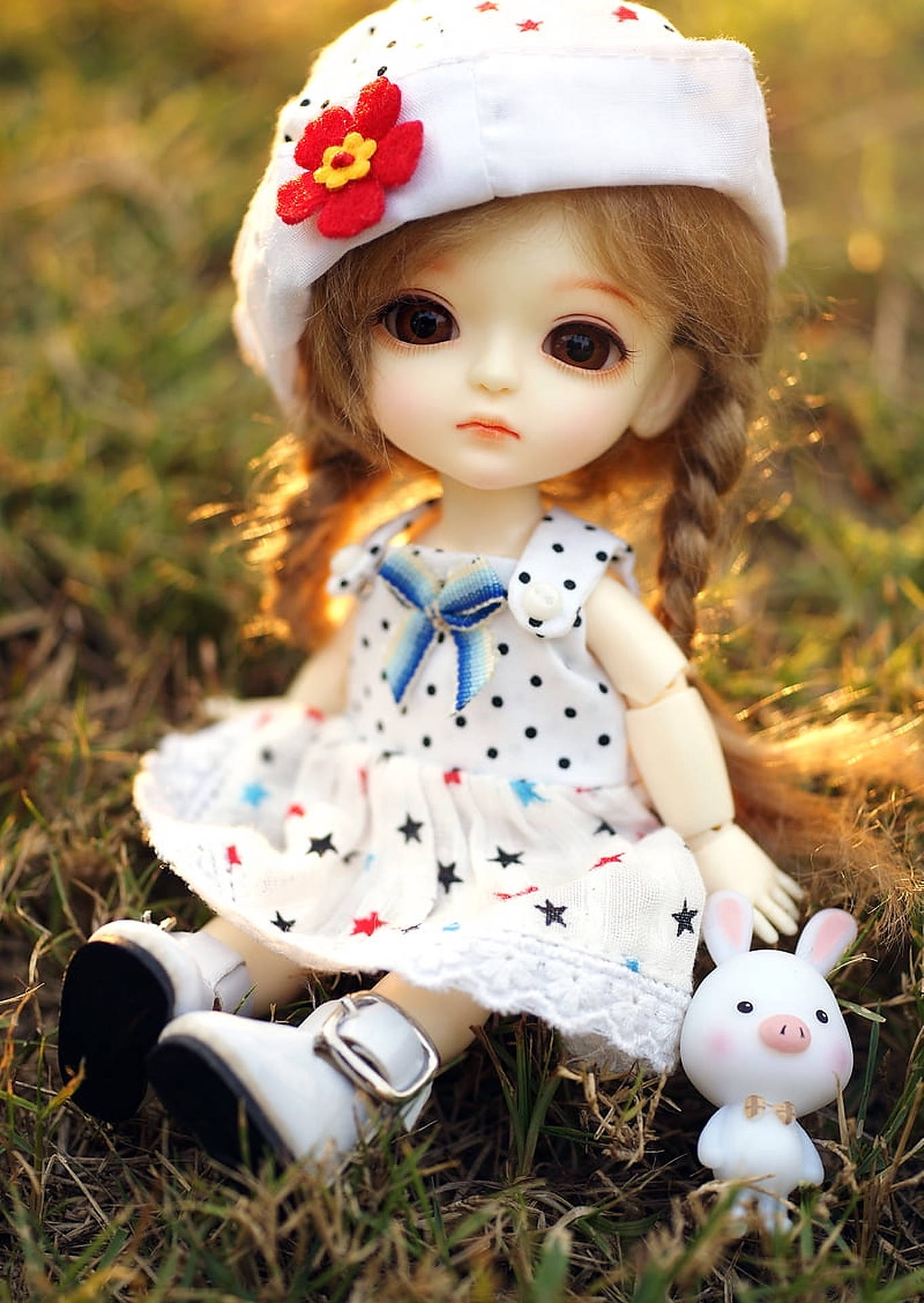 Cute Doll With Piggy Toy Background