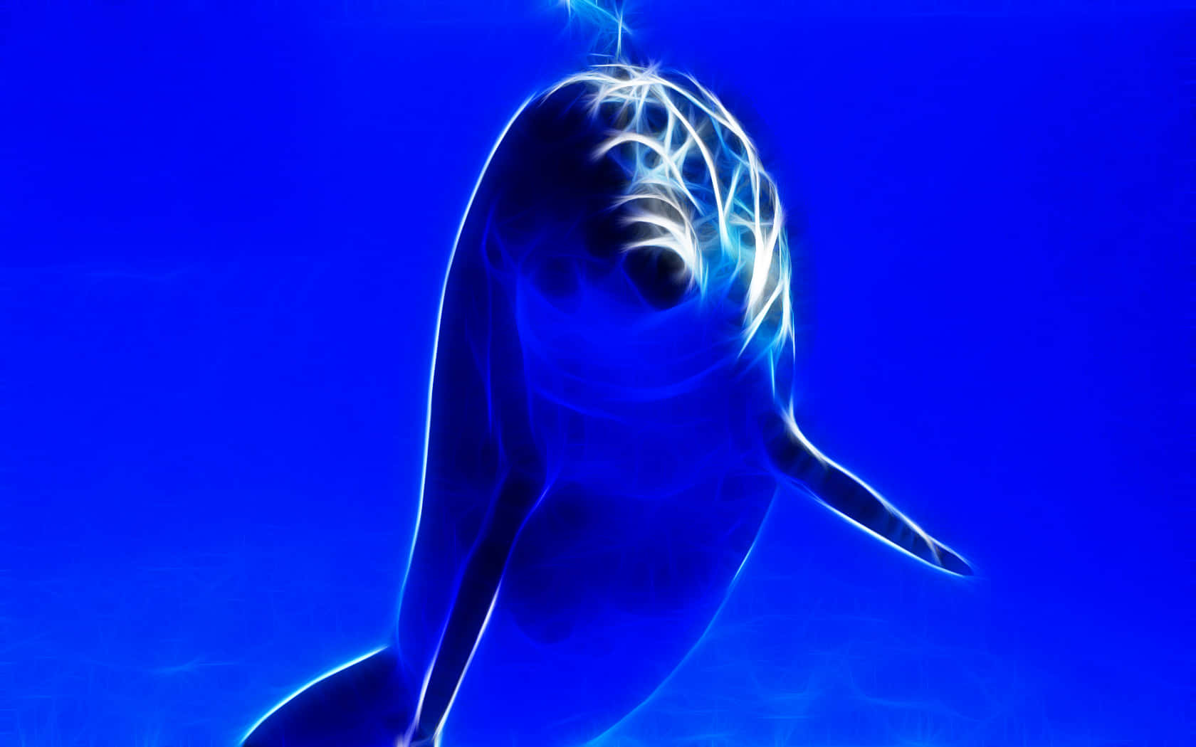 Cute Dolphin Blue Ocean Water Background Background