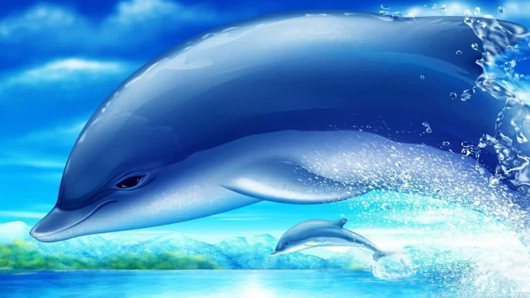 Cute Dolphin Closeup Graphic Artwork
