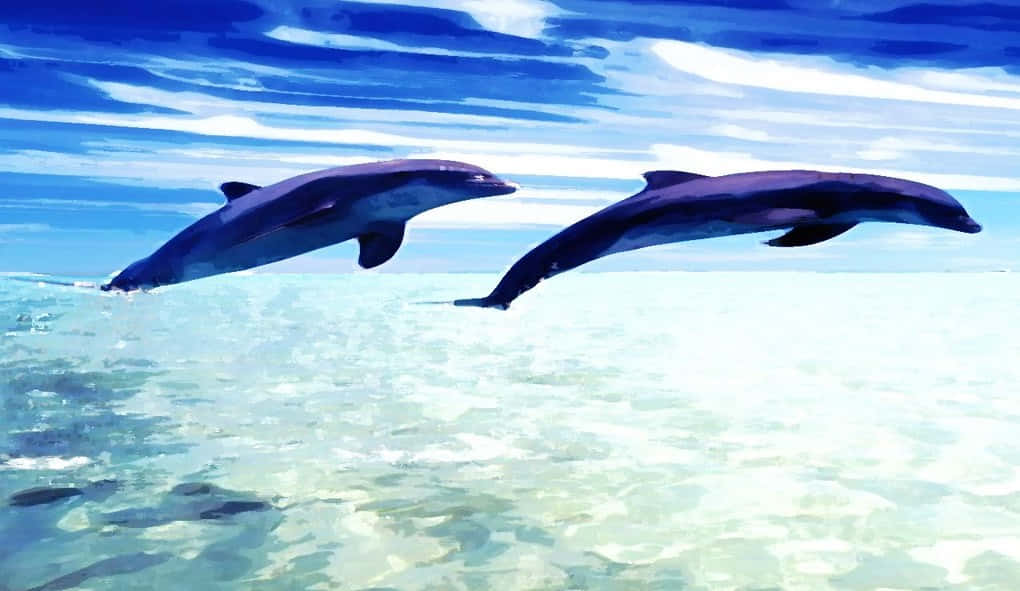 Cute Dolphin Digitally Painted Background