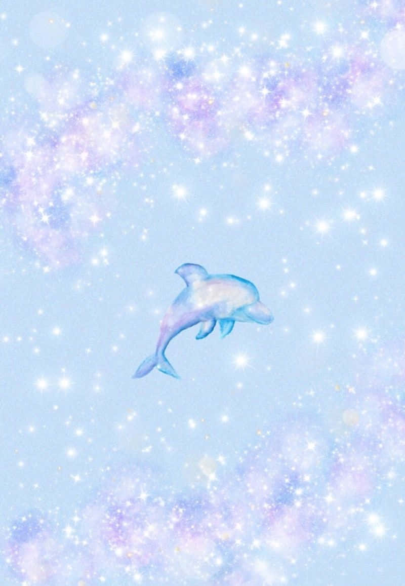 Cute Dolphin Illustration Background