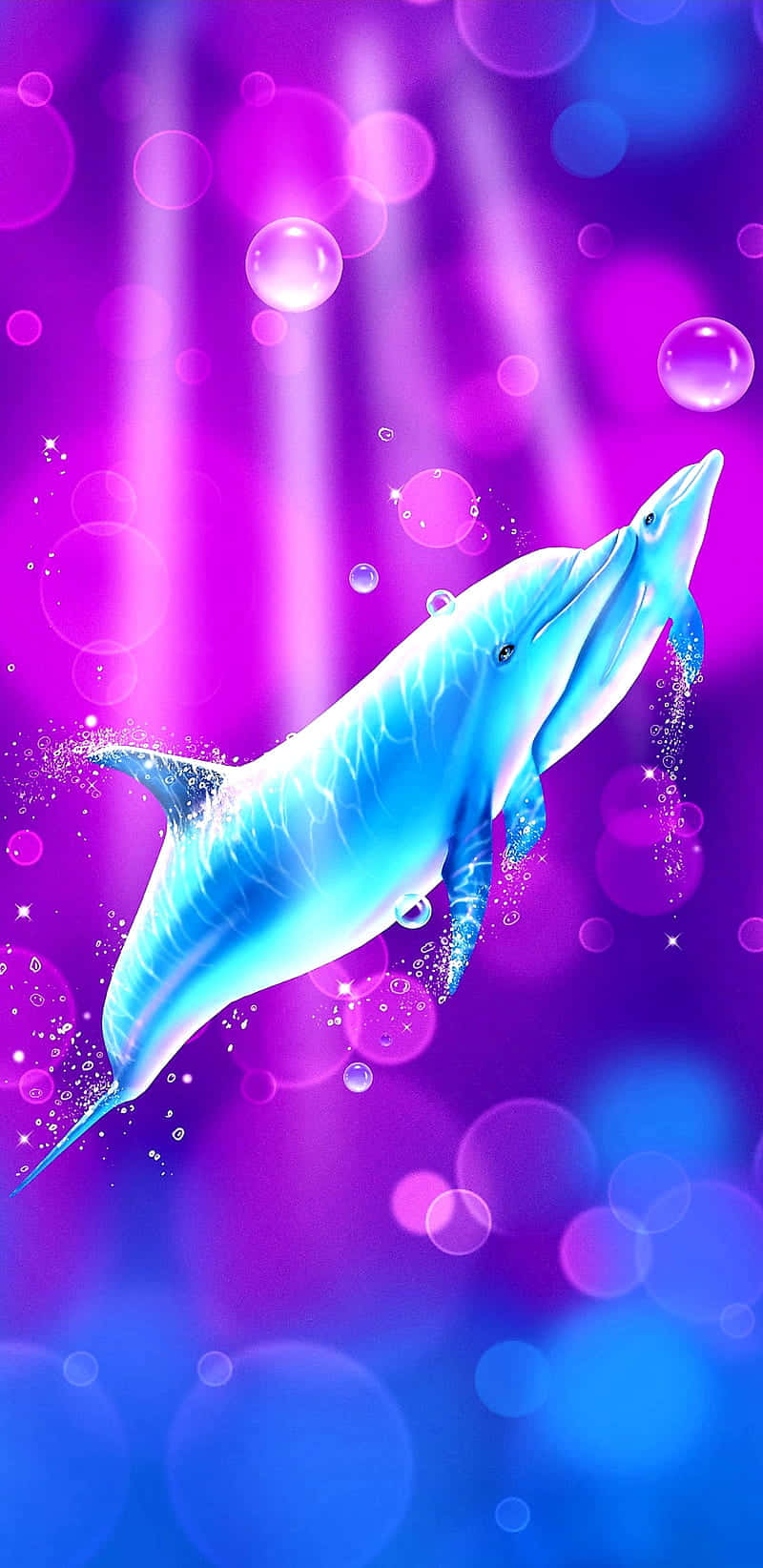 Cute Dolphin Mother And Calf Animation Background