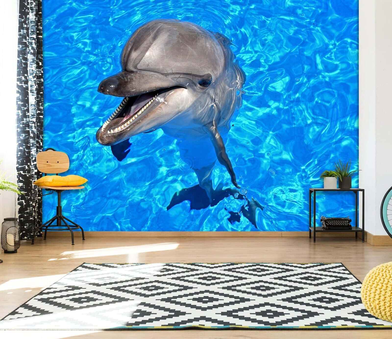 Cute Dolphin Office Wall Background
