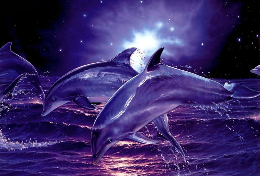 Cute Dolphins Computer Generated Background