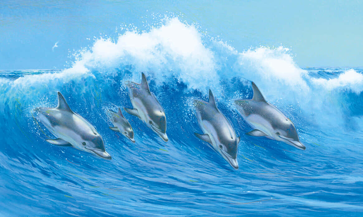 Cute Dolphins Waves Computer Generated Background