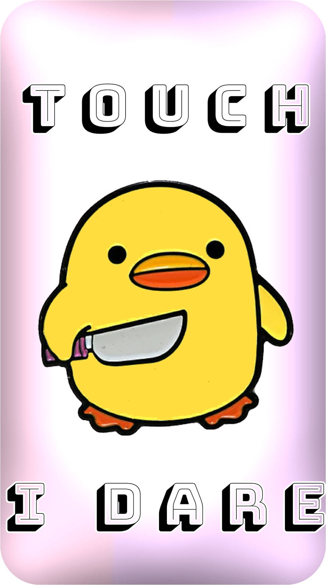 Cute Duck Don’t Touch My Ipad Background