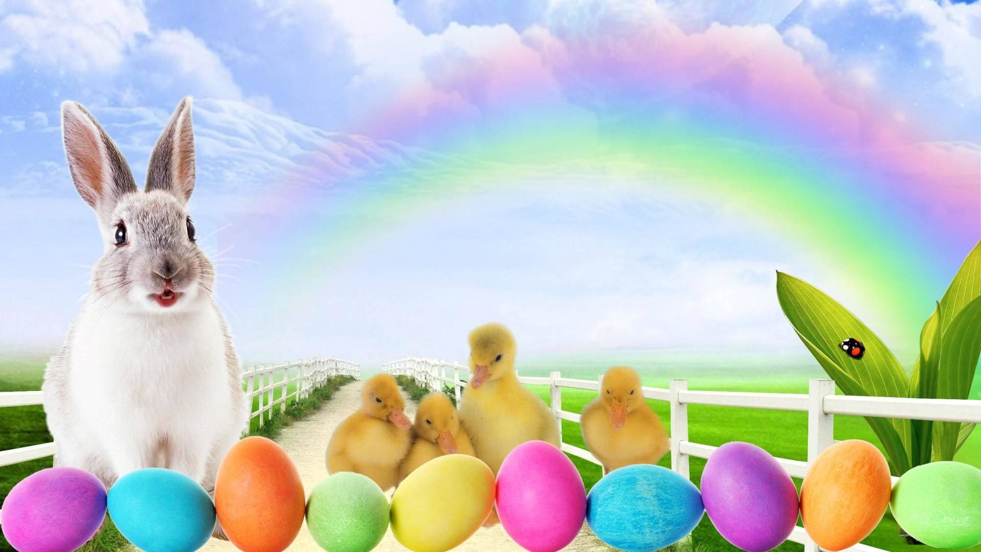 Cute Easter Animals Background