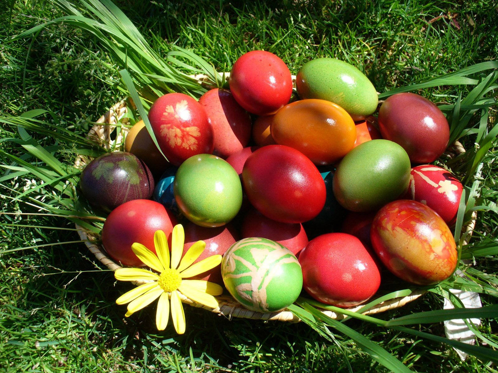 Cute Easter Basket Background