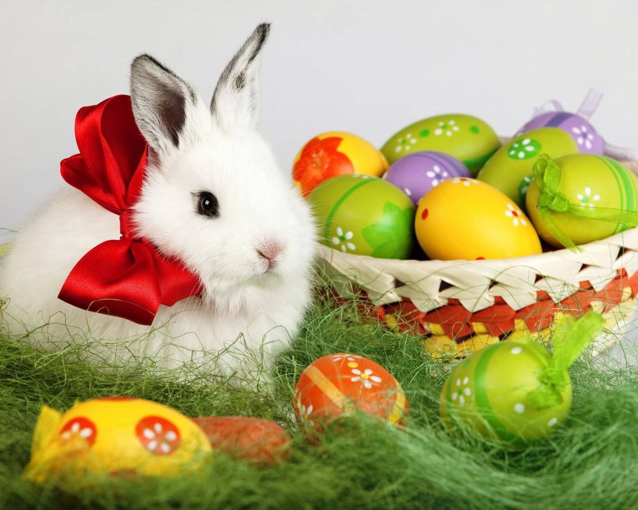 Cute Easter Bunny And Eggs Background